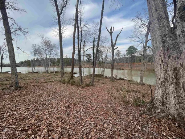 a view of a lake with houses in the background