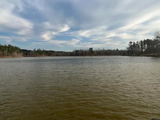 a view of a lake with trees in the background