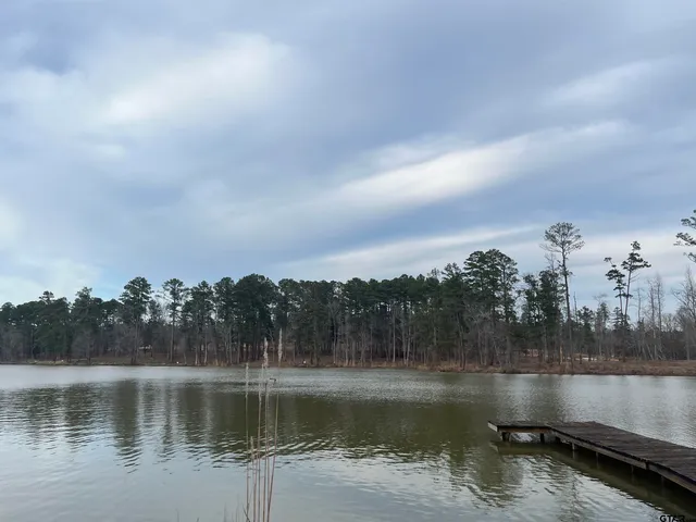 a view of backyard with green space