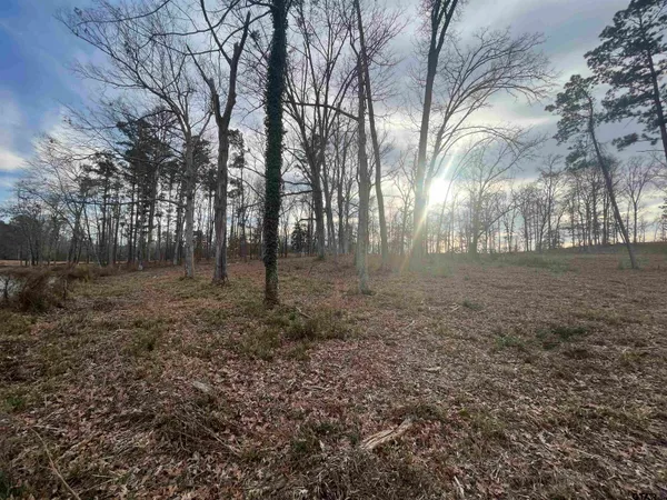 $213,999 | Lot 28 Big Rock Lake, Hallsville, TX 75650