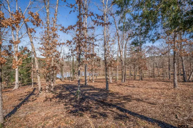 a view of a house with wooden deck