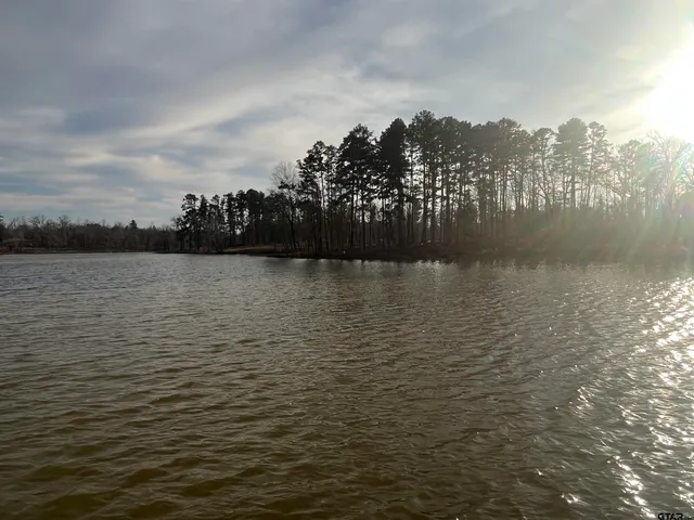 a view of a lake with houses in the back