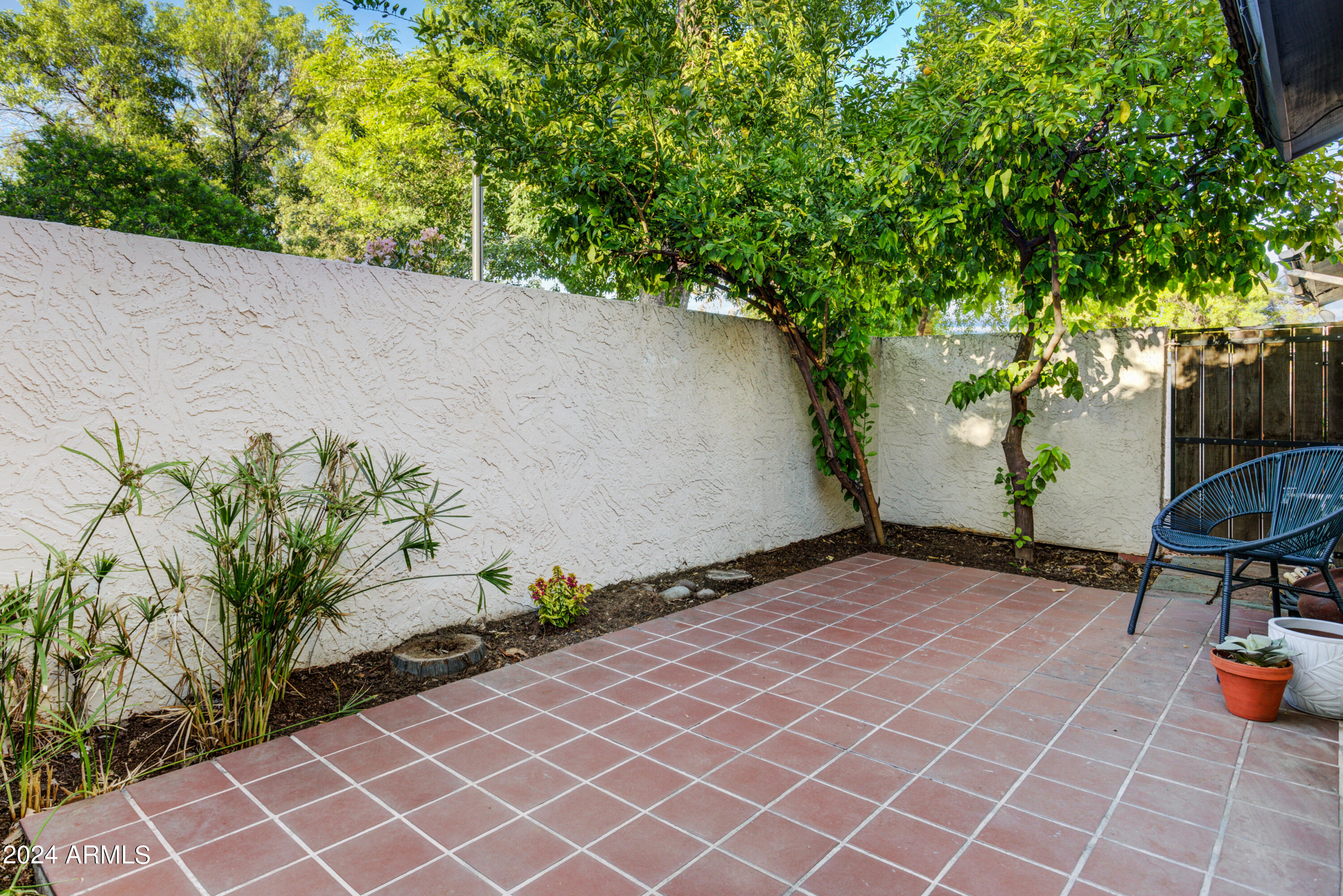 1222 West Baseline Road, Unit 158 Tempe, AZ 85283 - Photo 16 of 21 017_Backyard