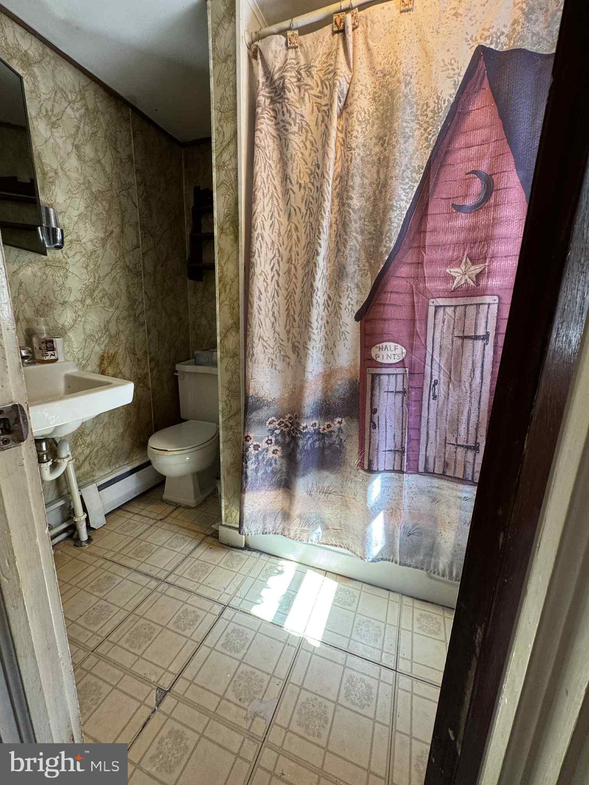20 Wilson Street Warwick, MD 21912 - Photo 9 of 14 a bathroom with a toilet and a shower