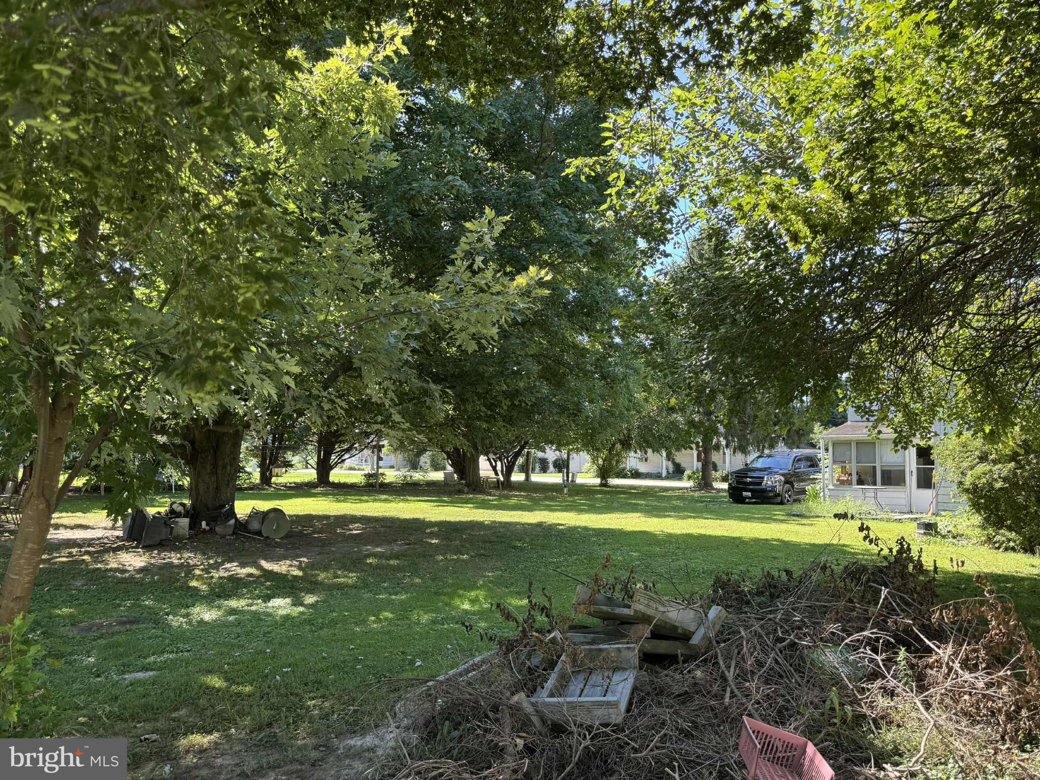 20 Wilson Street Warwick, MD 21912 - Photo 10 of 14 a view of a park with large trees