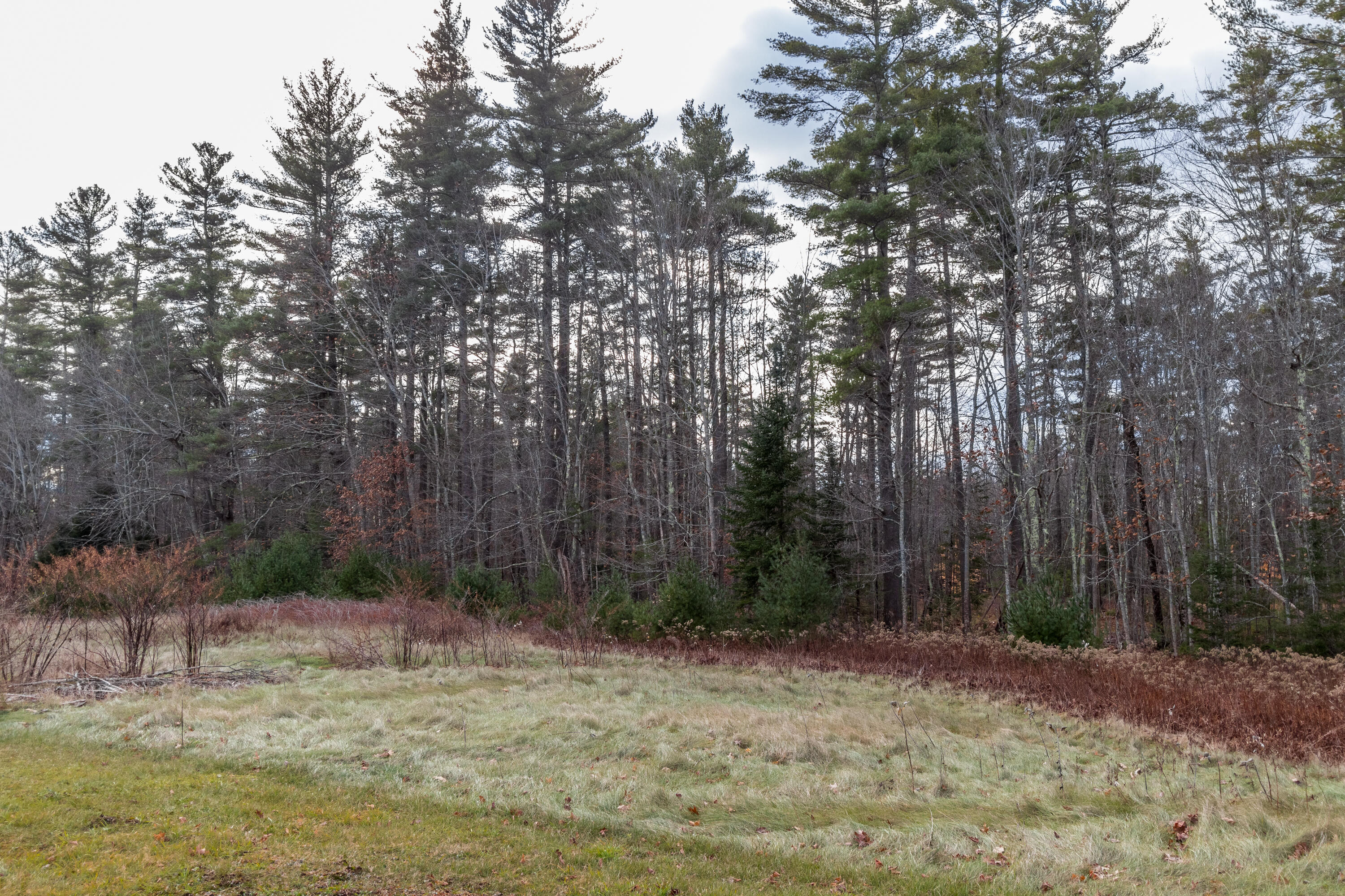 560 Cape Road Standish, ME 04084 - Photo 53 of 111 20221201TR-71089