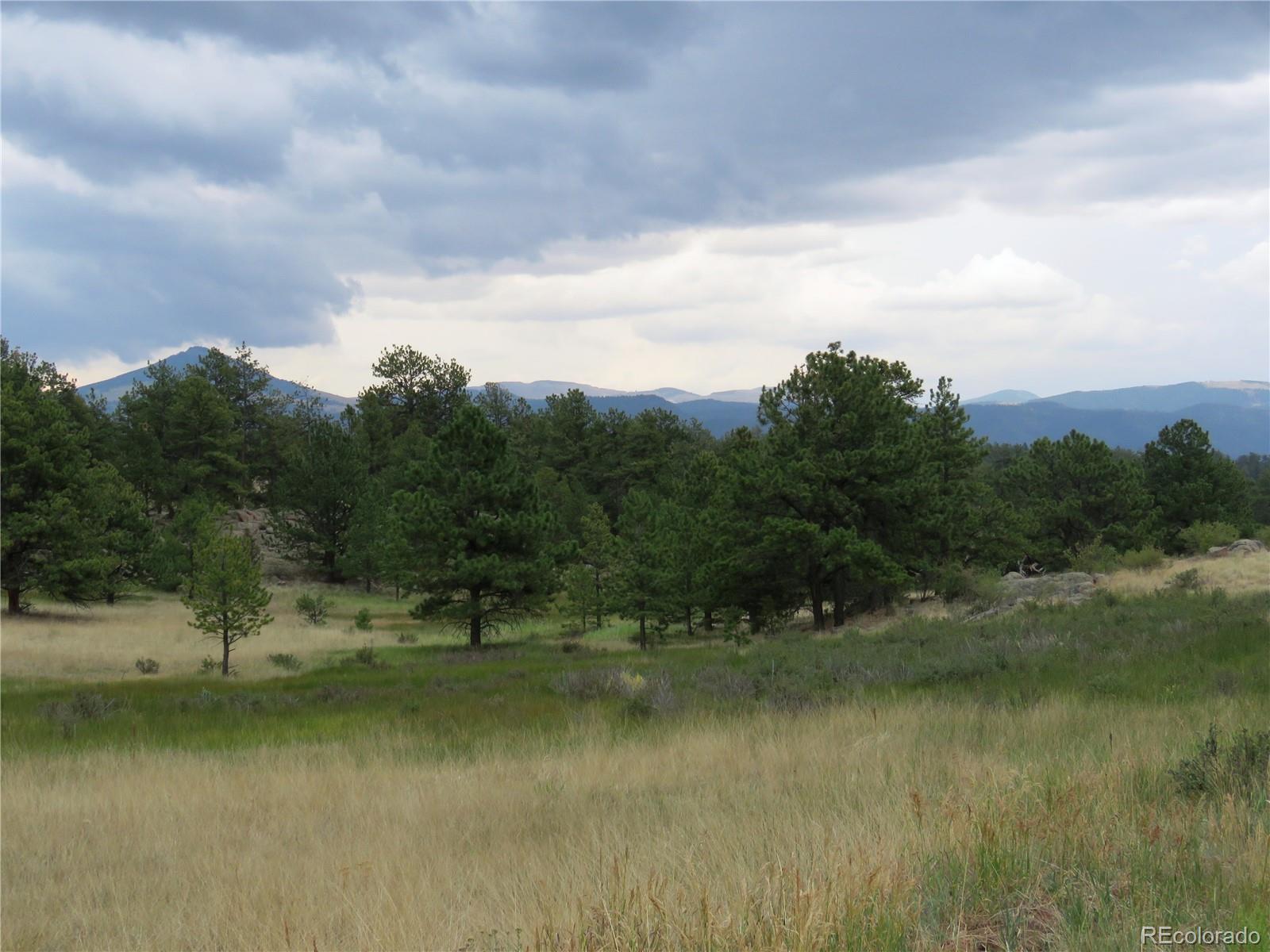 84 Pike View Road Florissant, CO 80816 - Photo 1 of 35 a view of a lake with houses in the back