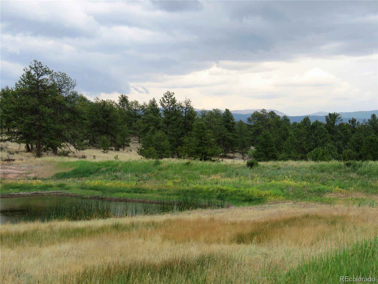84 Pike View Road Florissant, CO 80816 - Photo 11 of 35 a view of a lake with houses in the back