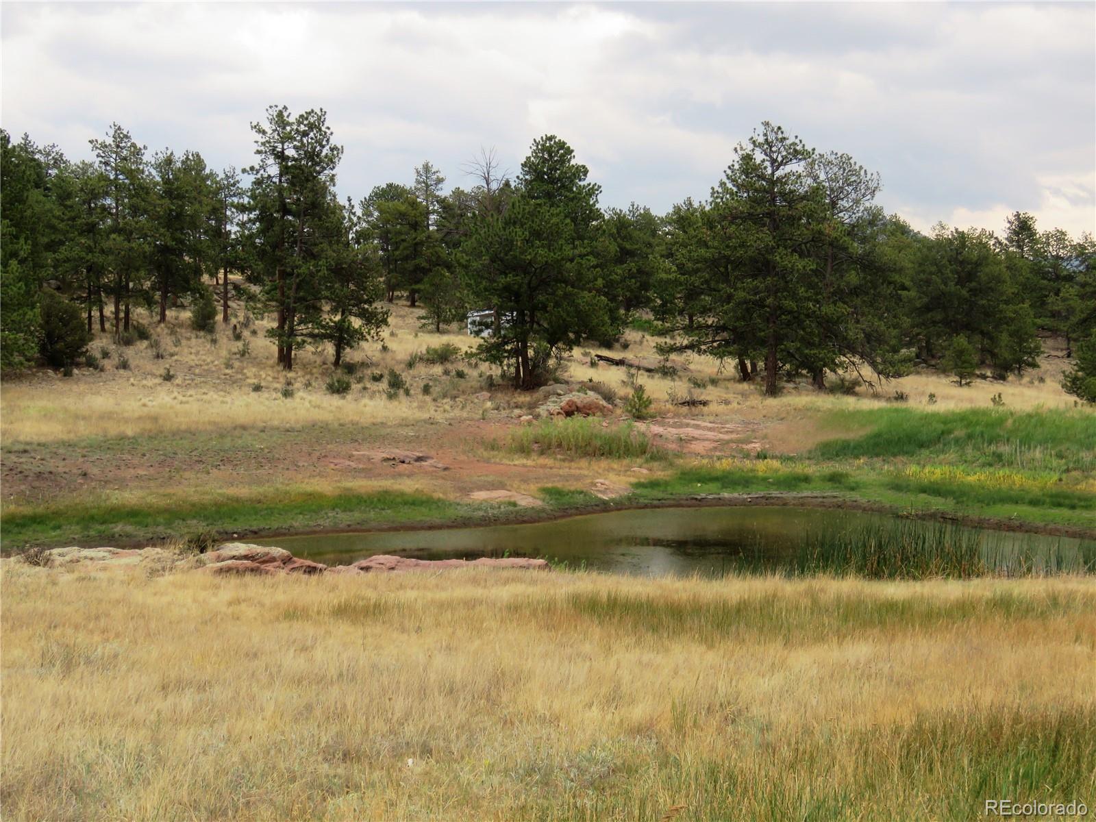 84 Pike View Road Florissant, CO 80816 - Photo 12 of 35 a view of ocean view