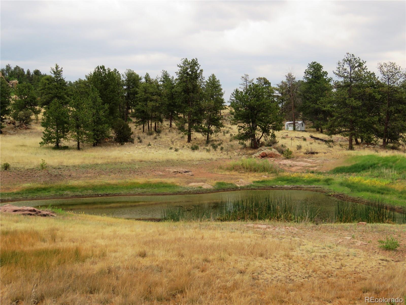 84 Pike View Road Florissant, CO 80816 - Photo 13 of 35 a view of a lake view