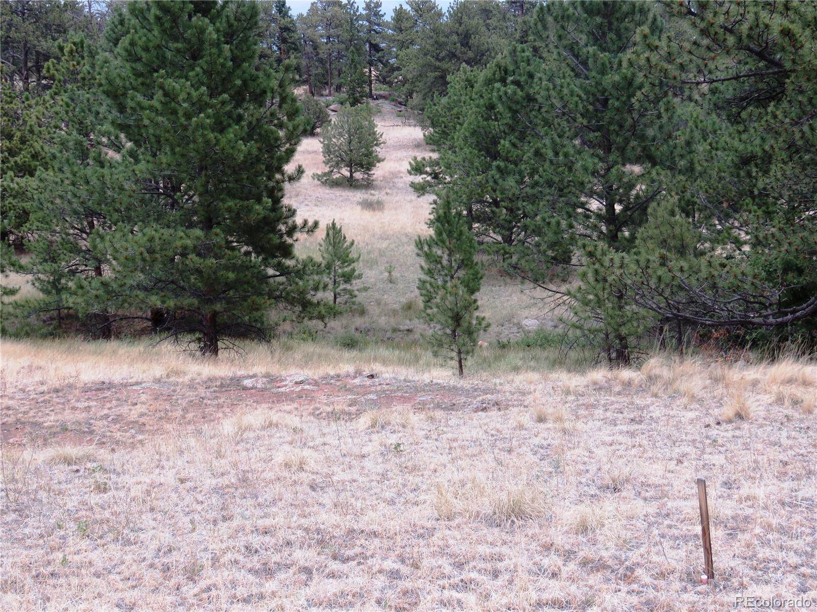 84 Pike View Road Florissant, CO 80816 - Photo 14 of 35 a view of a yard with plants and trees