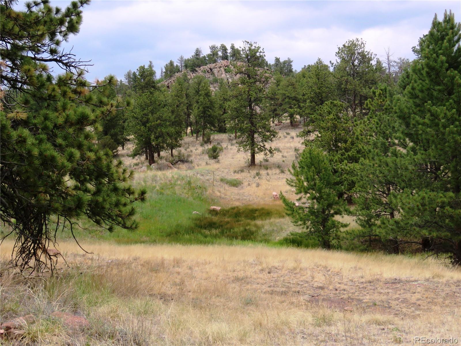 84 Pike View Road Florissant, CO 80816 - Photo 15 of 35 a view of a lake with a yard