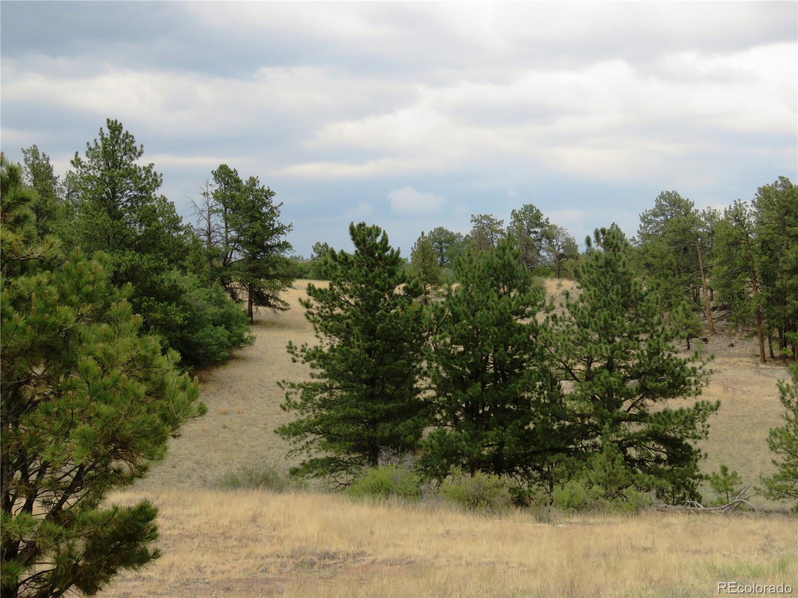 84 Pike View Road Florissant, CO 80816 - Photo 16 of 35 a view of a lake with houses in the back