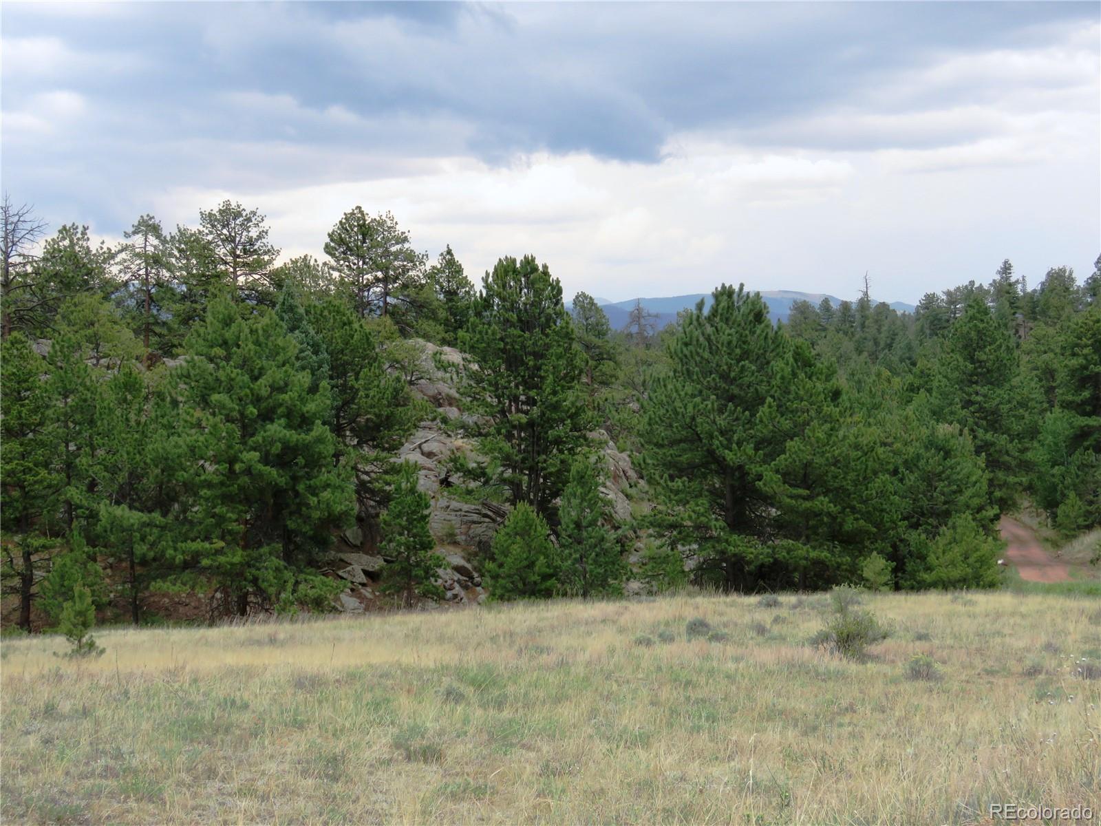 84 Pike View Road Florissant, CO 80816 - Photo 17 of 35 a view of a yard