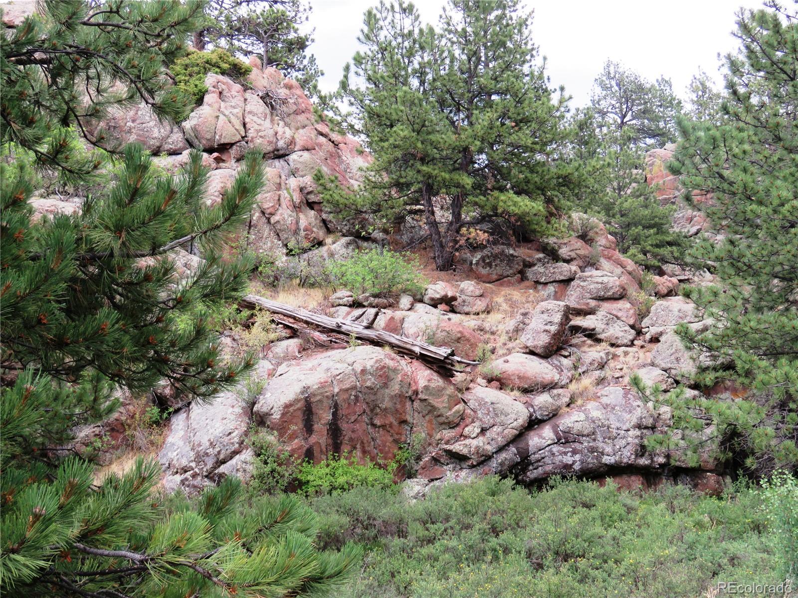 84 Pike View Road Florissant, CO 80816 - Photo 19 of 35 a view of a yard
