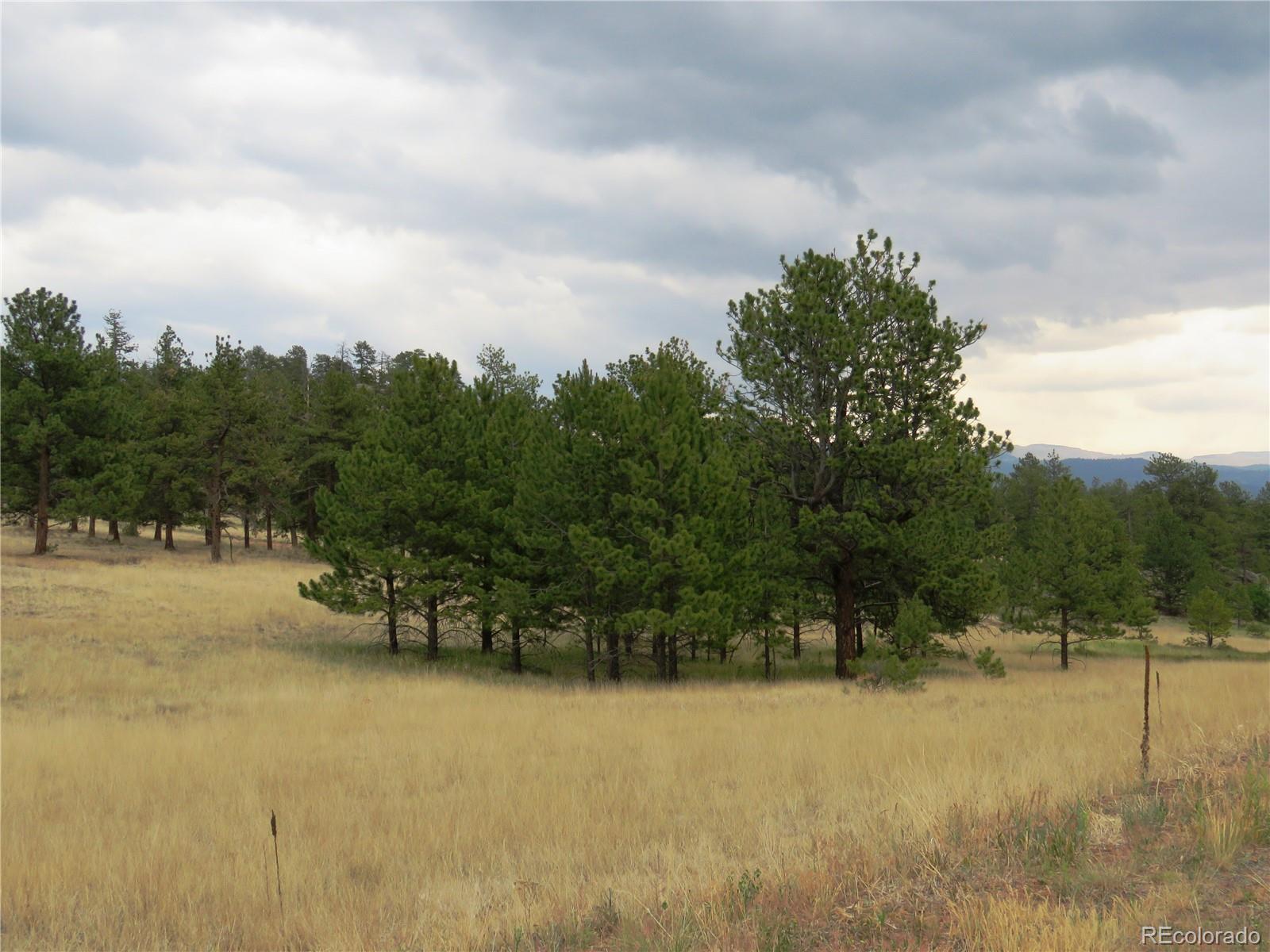 84 Pike View Road Florissant, CO 80816 - Photo 2 of 35