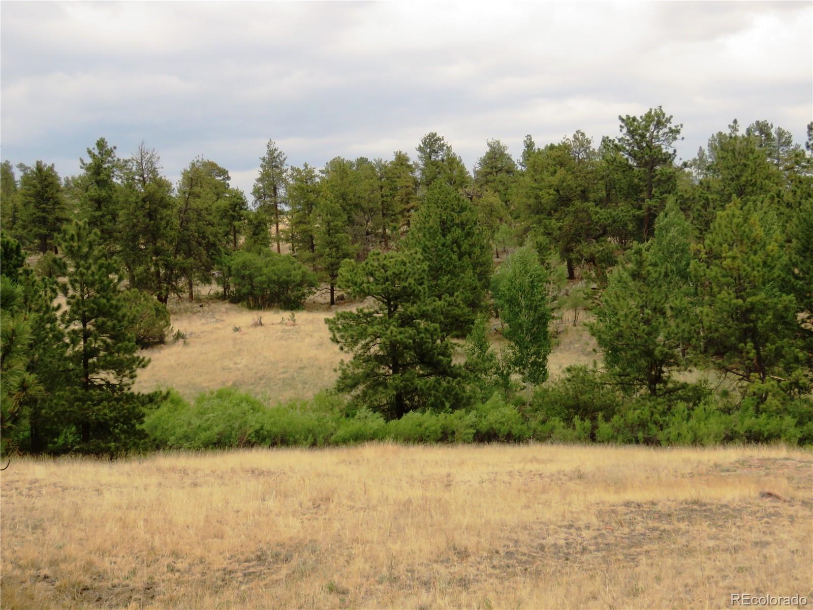 84 Pike View Road Florissant, CO 80816 - Photo 26 of 35 a view of a lake view