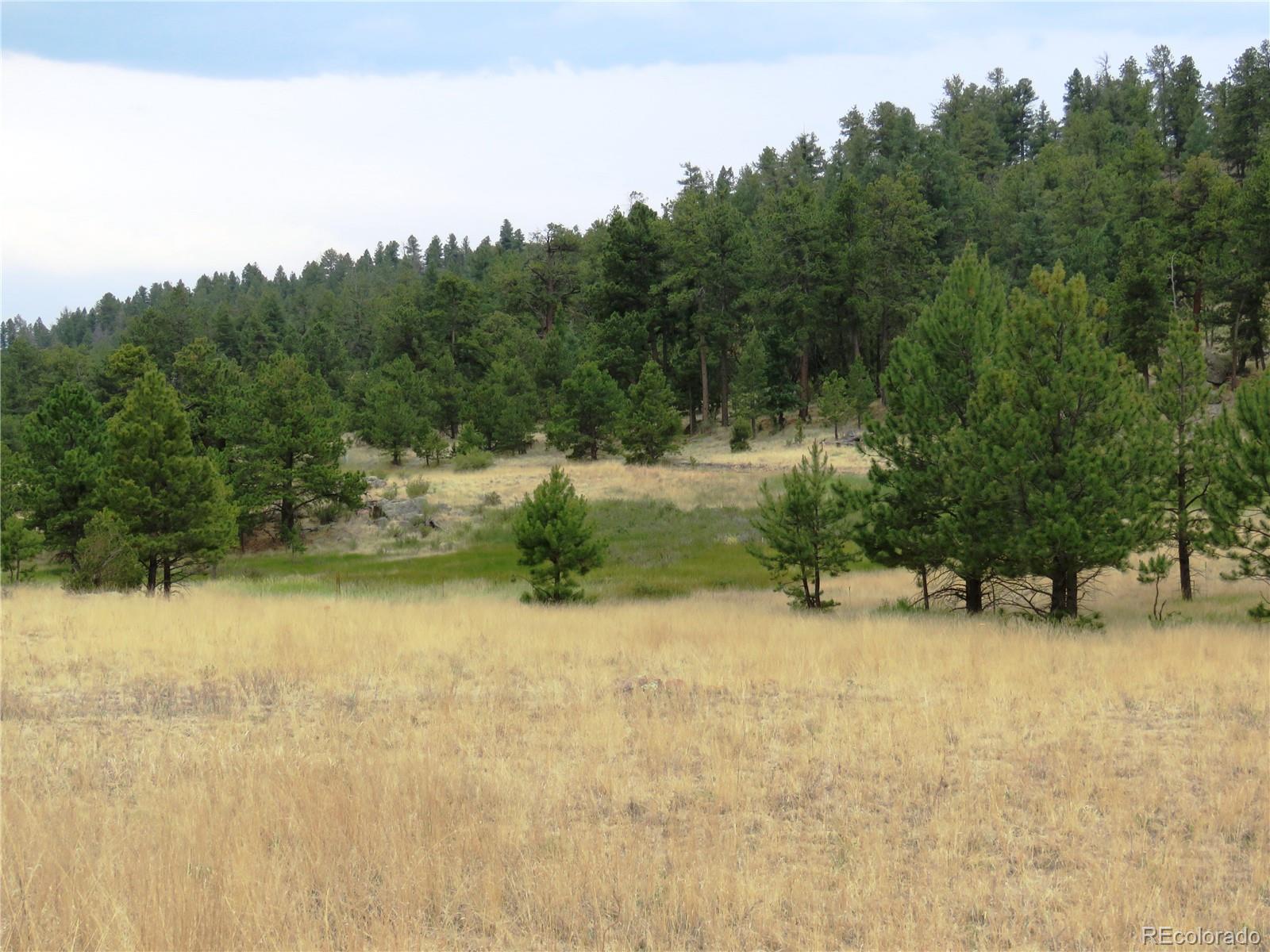 84 Pike View Road Florissant, CO 80816 - Photo 29 of 35 a view of lake view