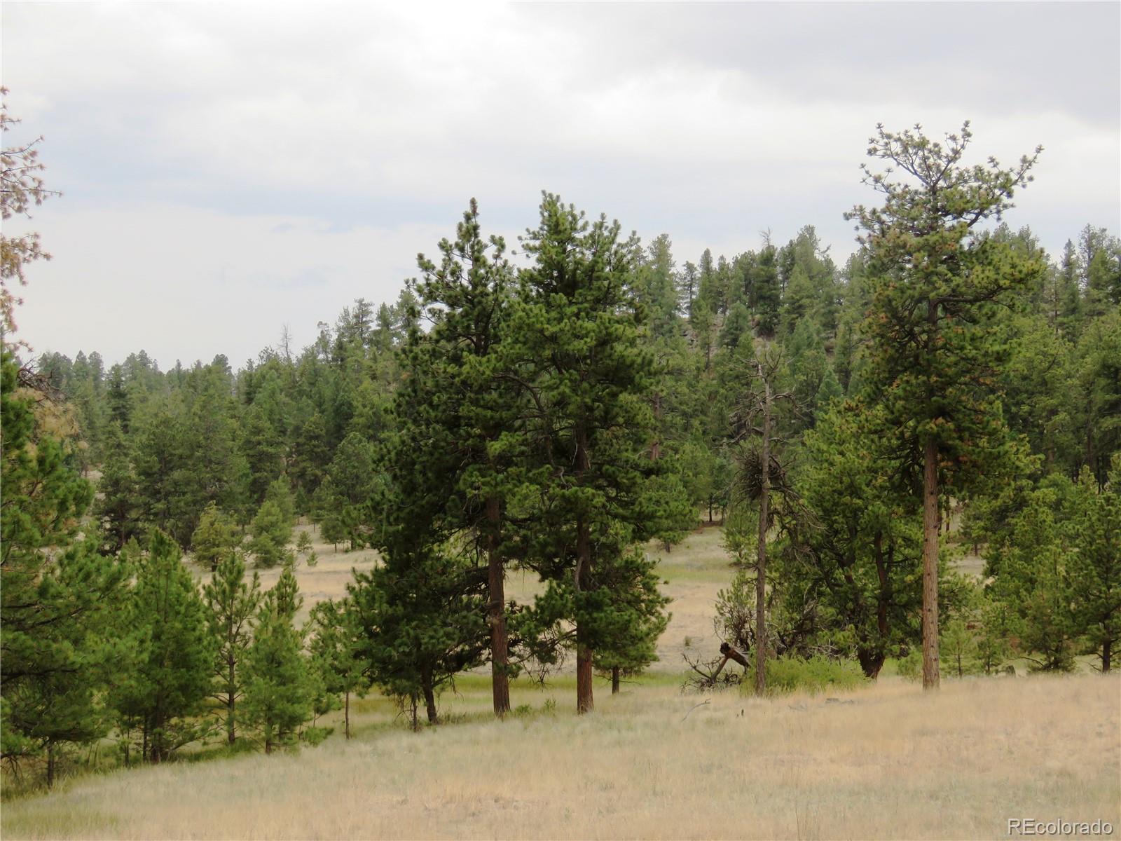 84 Pike View Road Florissant, CO 80816 - Photo 30 of 35