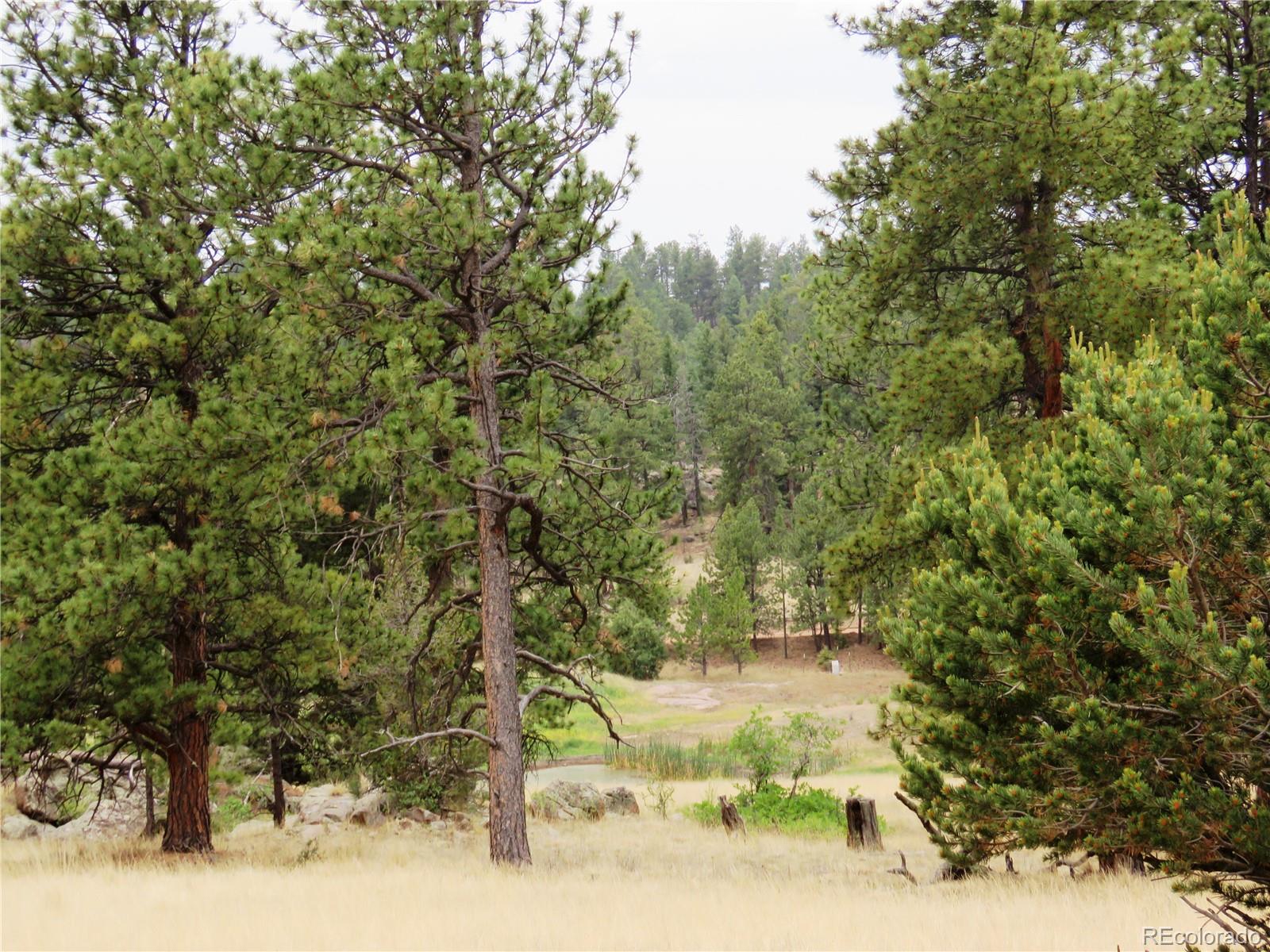 84 Pike View Road Florissant, CO 80816 - Photo 33 of 35 a view of a yard with trees