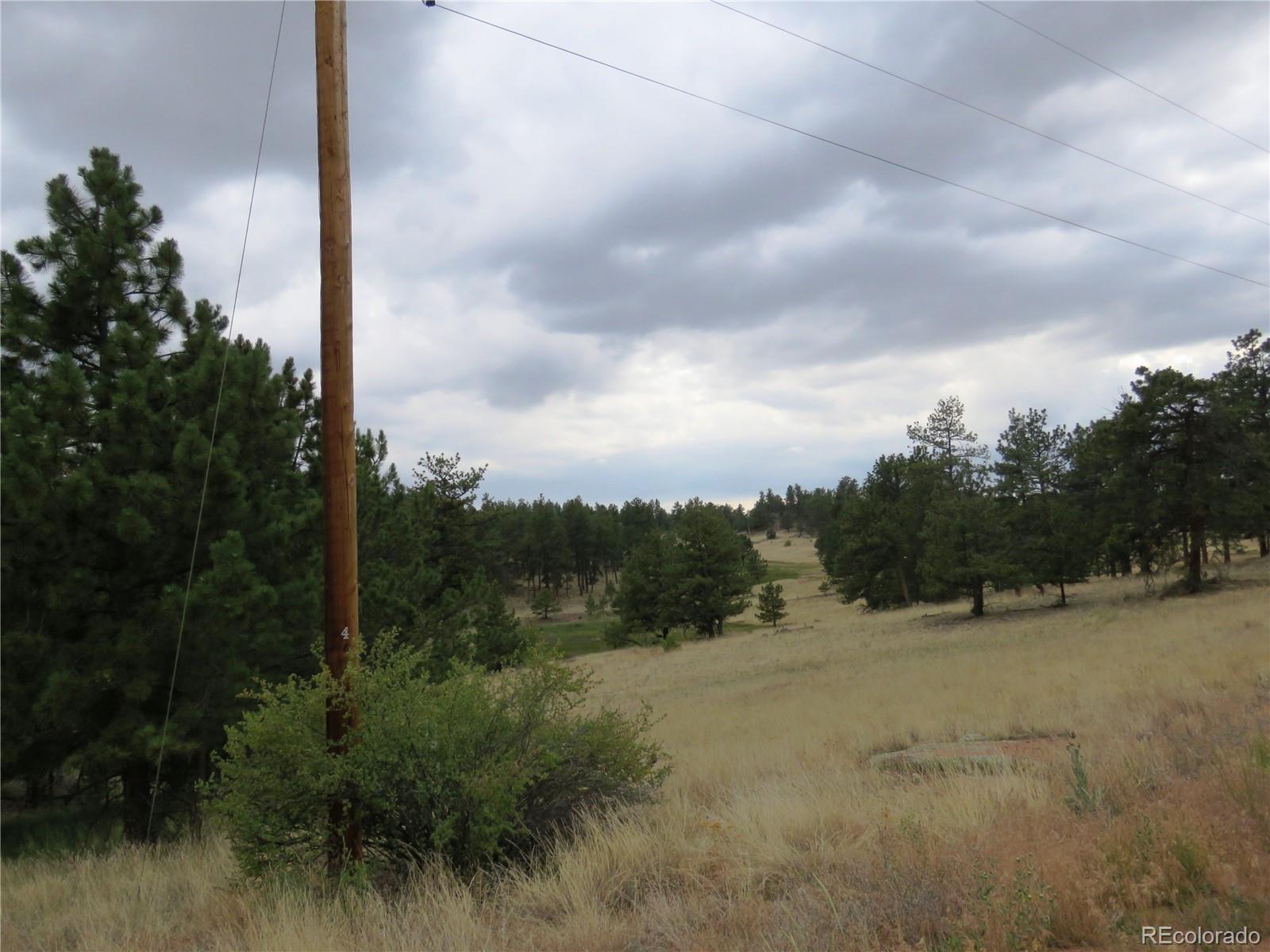 84 Pike View Road Florissant, CO 80816 - Photo 34 of 35 a view of a dry yard with trees