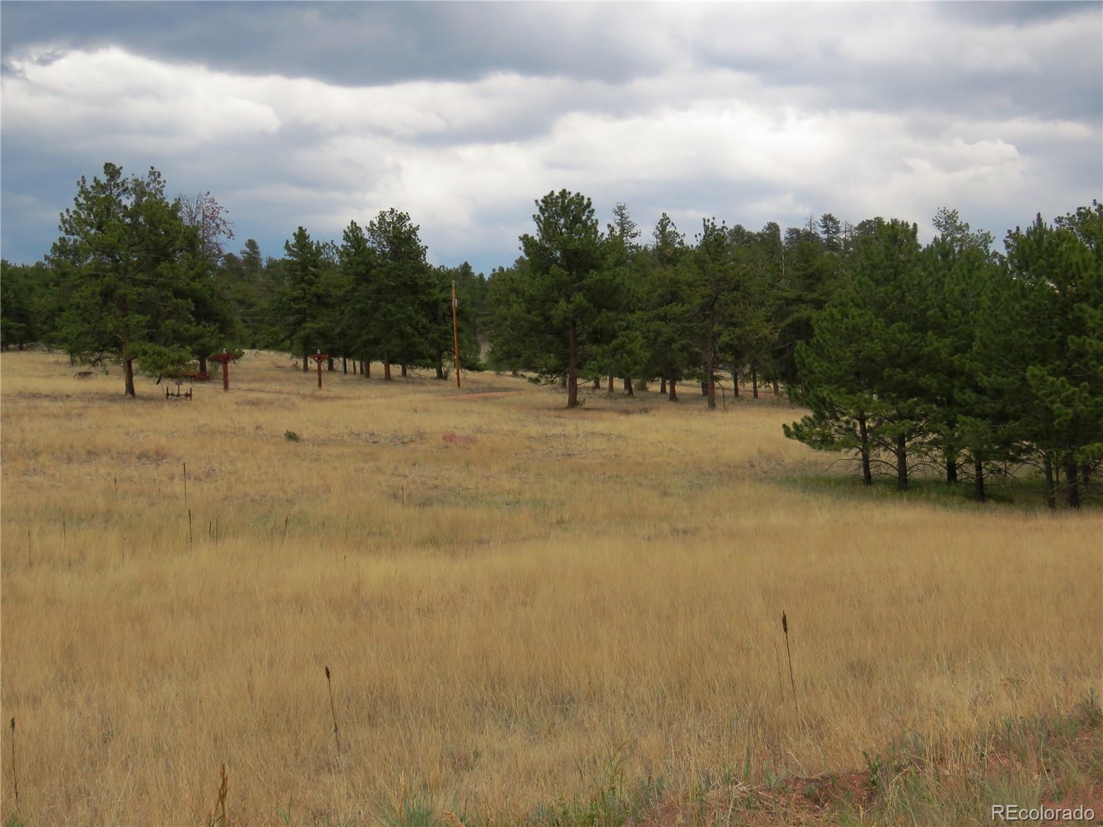 84 Pike View Road Florissant, CO 80816 - Photo 4 of 35 a view of large trees with beach and wooden fence
