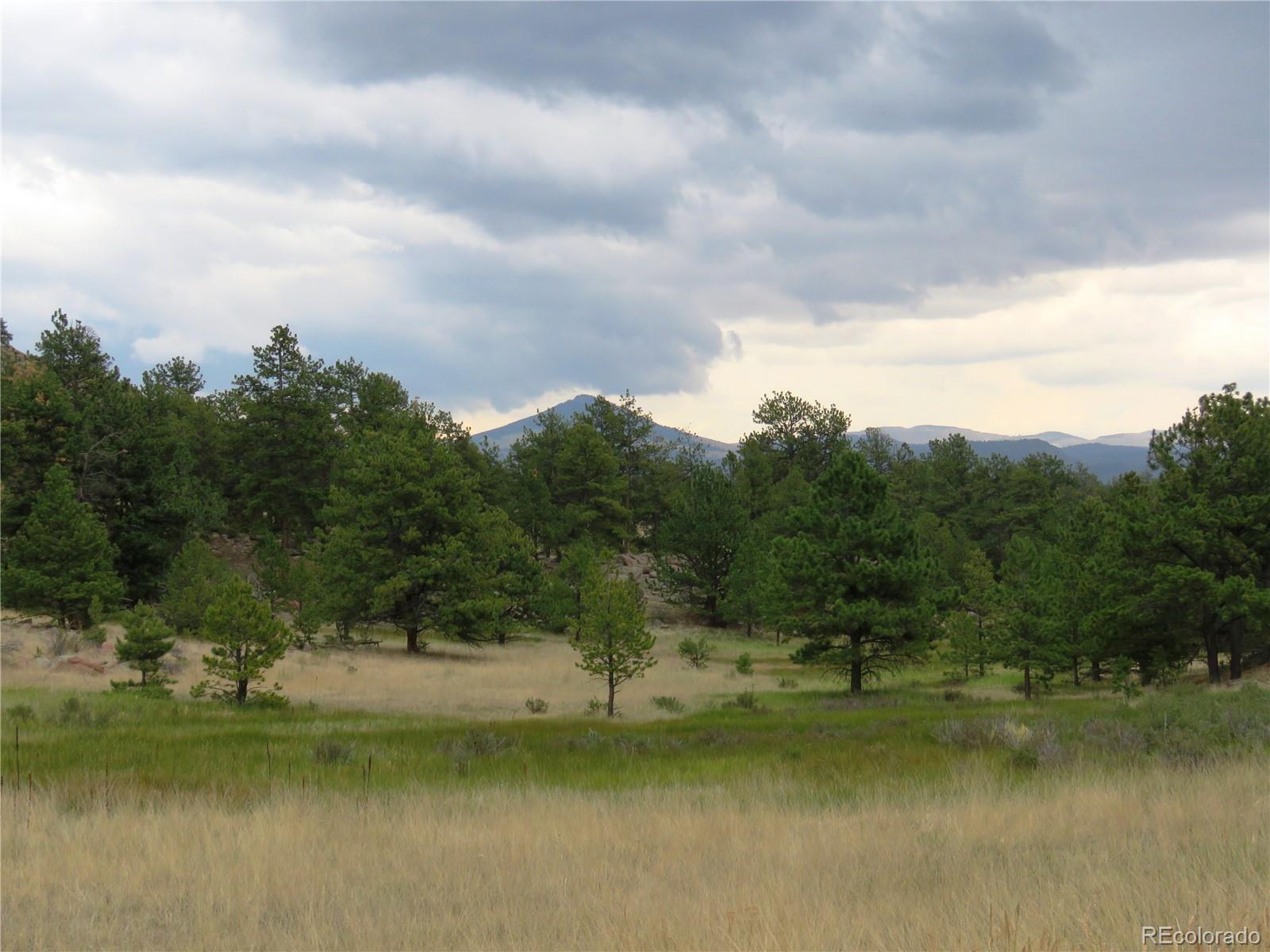 84 Pike View Road Florissant, CO 80816 - Photo 5 of 35 a view of a lake with houses in the back