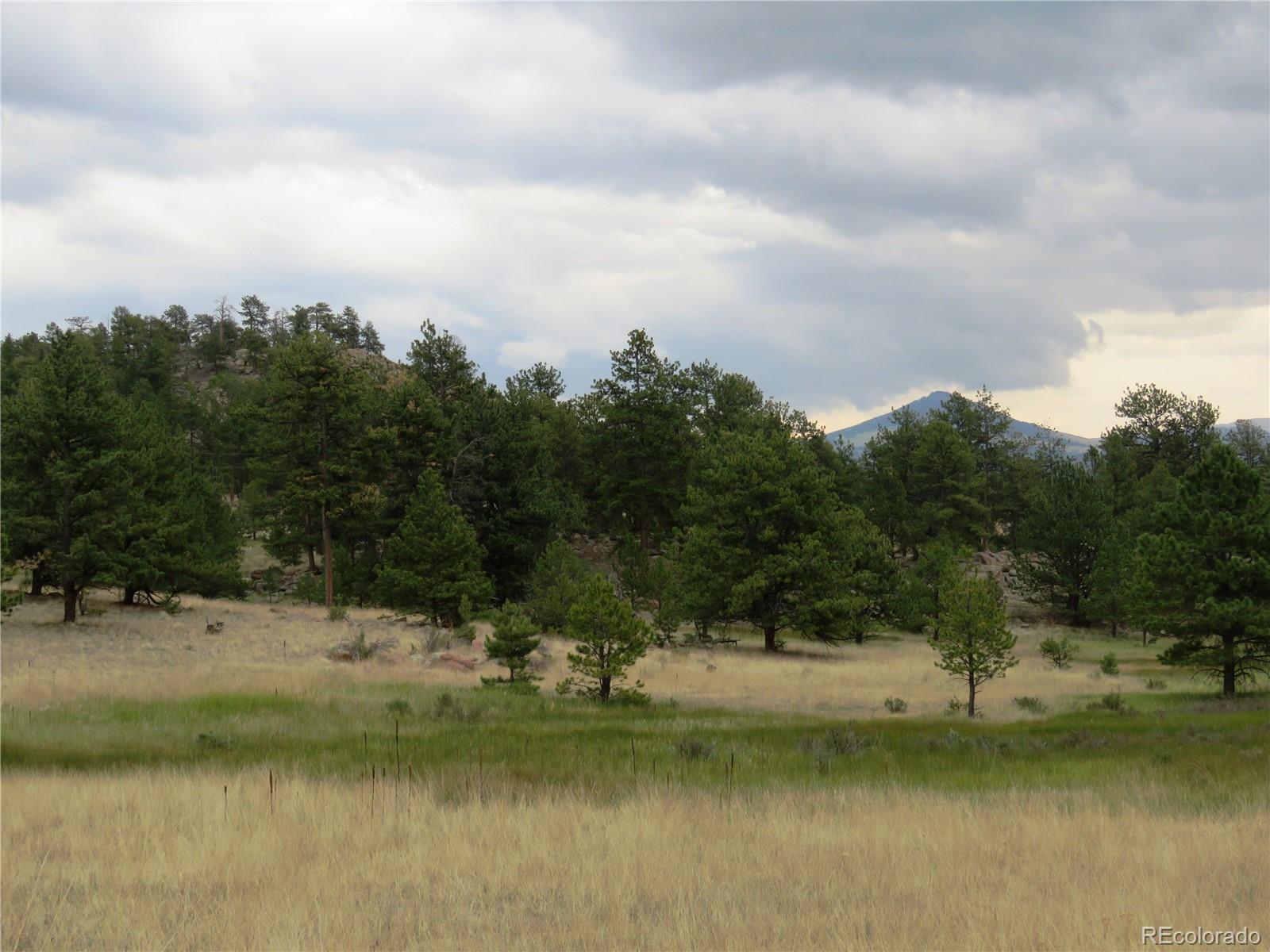 84 Pike View Road Florissant, CO 80816 - Photo 6 of 35 a view of a lake with a yard