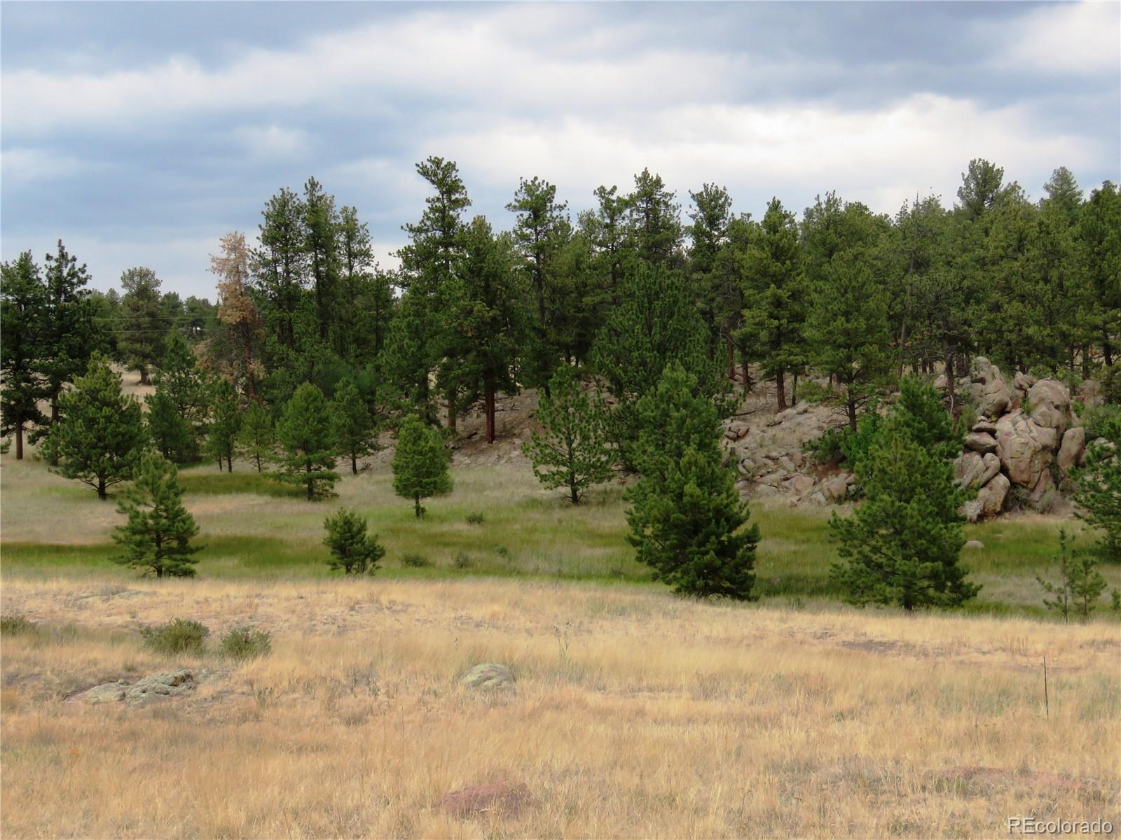 84 Pike View Road Florissant, CO 80816 - Photo 8 of 35 a view of a yard with trees in the background