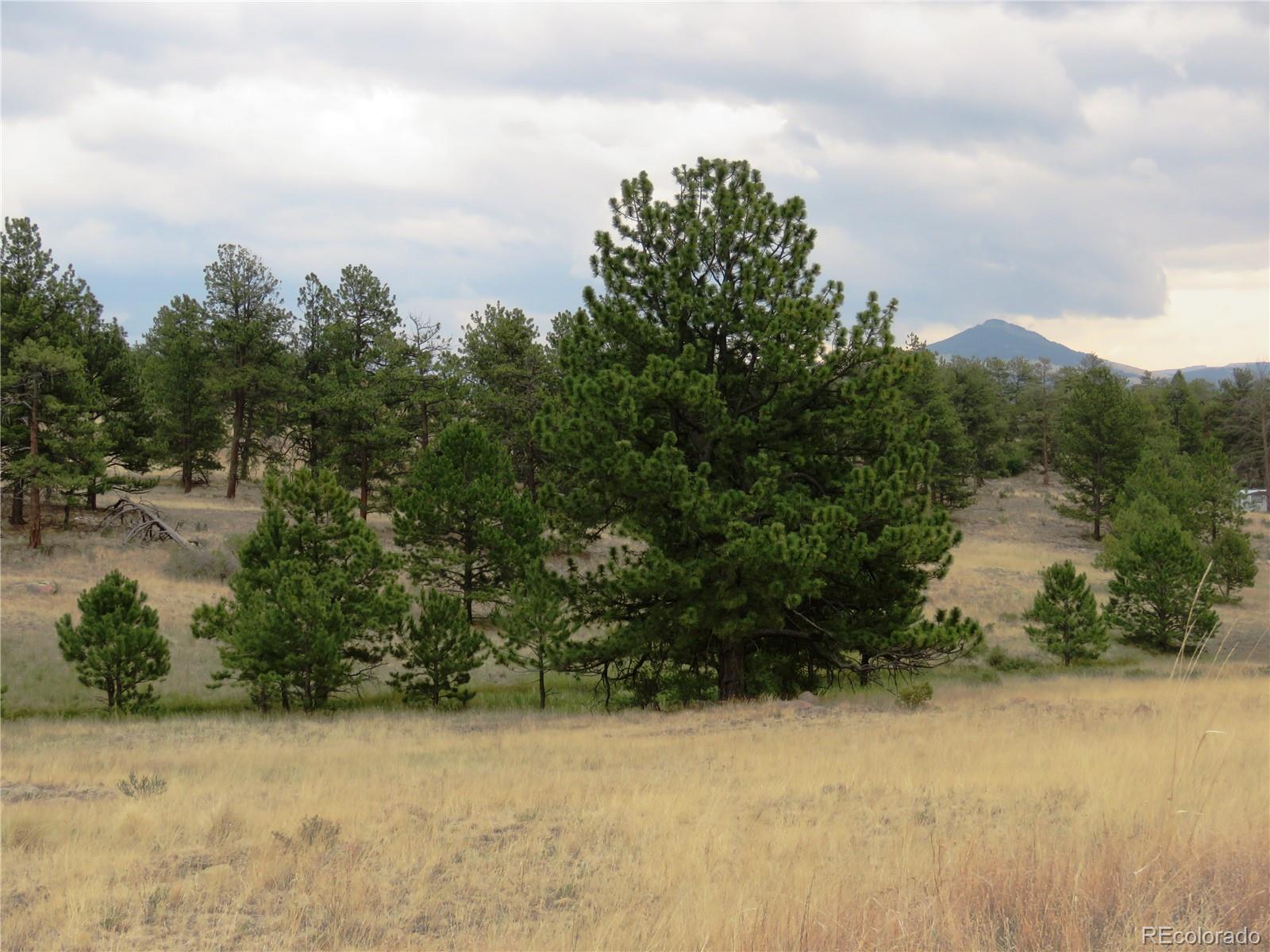 84 Pike View Road Florissant, CO 80816 - Photo 9 of 35 a view of a lake view