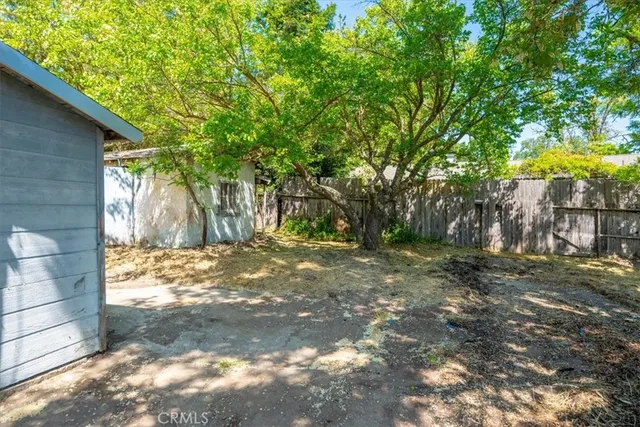 a view of a yard with tree s