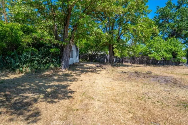 a view of a field with trees in the background