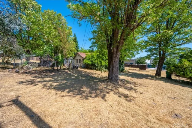 a view of a tree in the middle of a yard