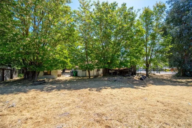 a view of a yard with a tree
