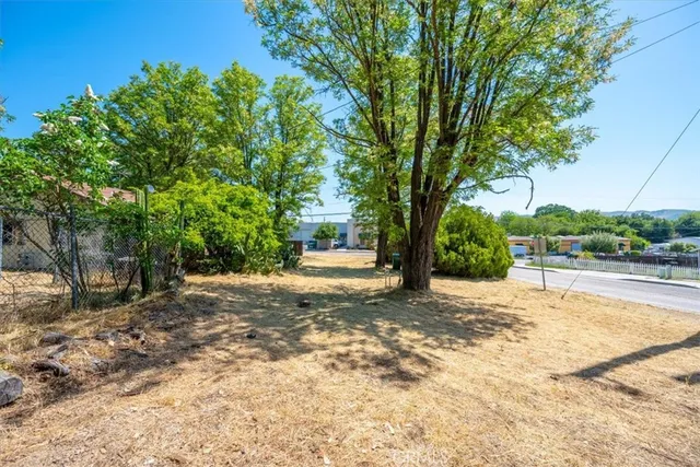 a view of a backyard with large trees