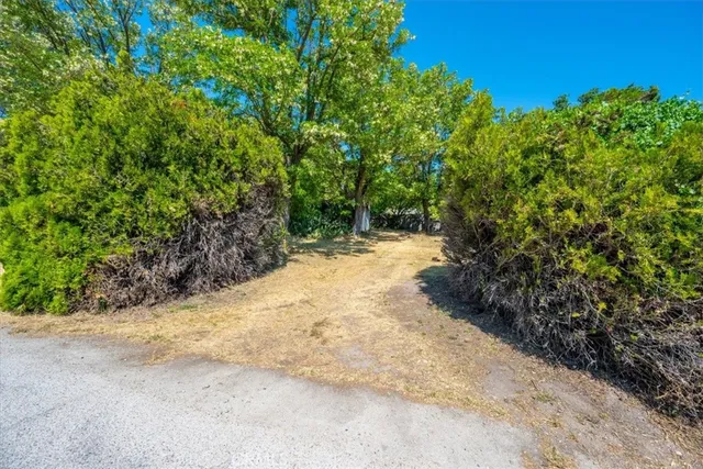 a view of backyard with green space