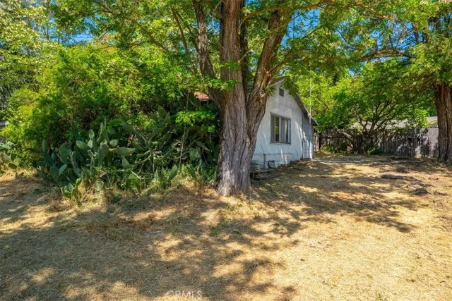 a backyard of a house with large trees and wooden fence