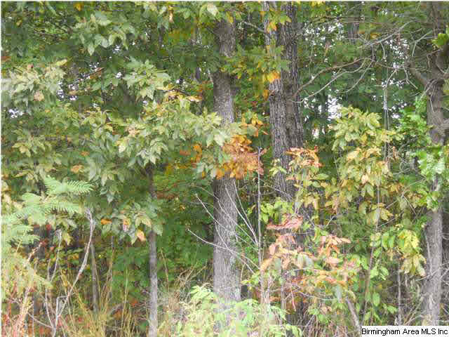Rocky Road, Unit 58 Sylacauga, AL 35151 - Photo 7 of 7