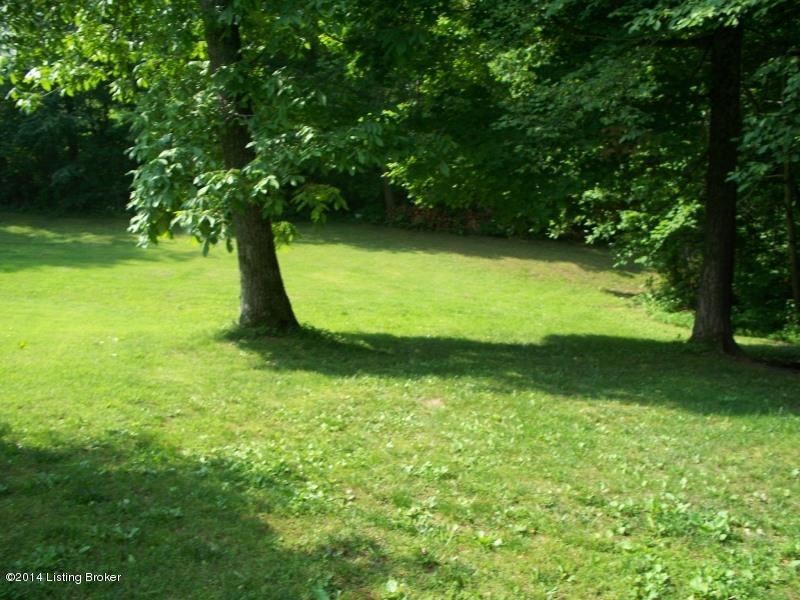 81 Lcpl Hanson Road Buffalo, KY 42716 - Photo 5 of 17 back yard