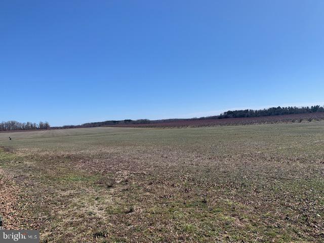 113 Barretts Run Road Bridgeton, NJ 08302 - Photo 8 of 15