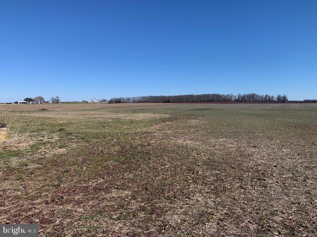 113 Barretts Run Road Bridgeton, NJ 08302 - Photo 9 of 15