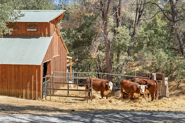 $919,000 | 2004 Bruin Trail, Placerville, CA 95667