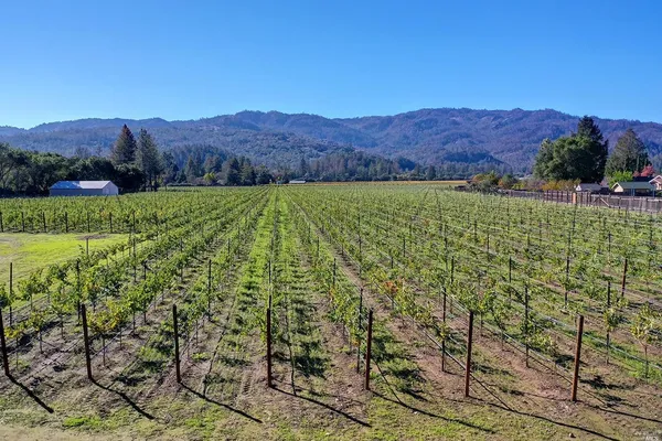 a view of a lush green field with mountains in the background