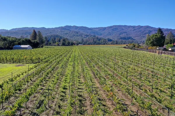 a view of an mountain with a garden