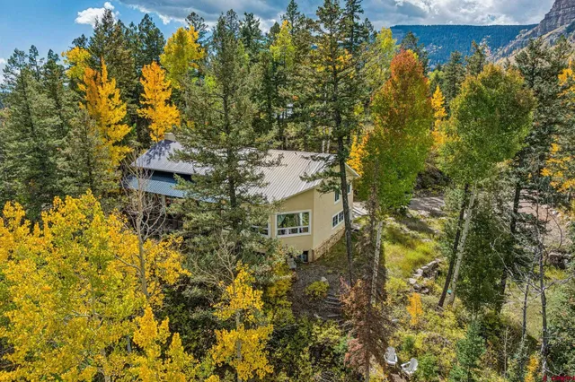 a view of a multi story yard with plants and large trees