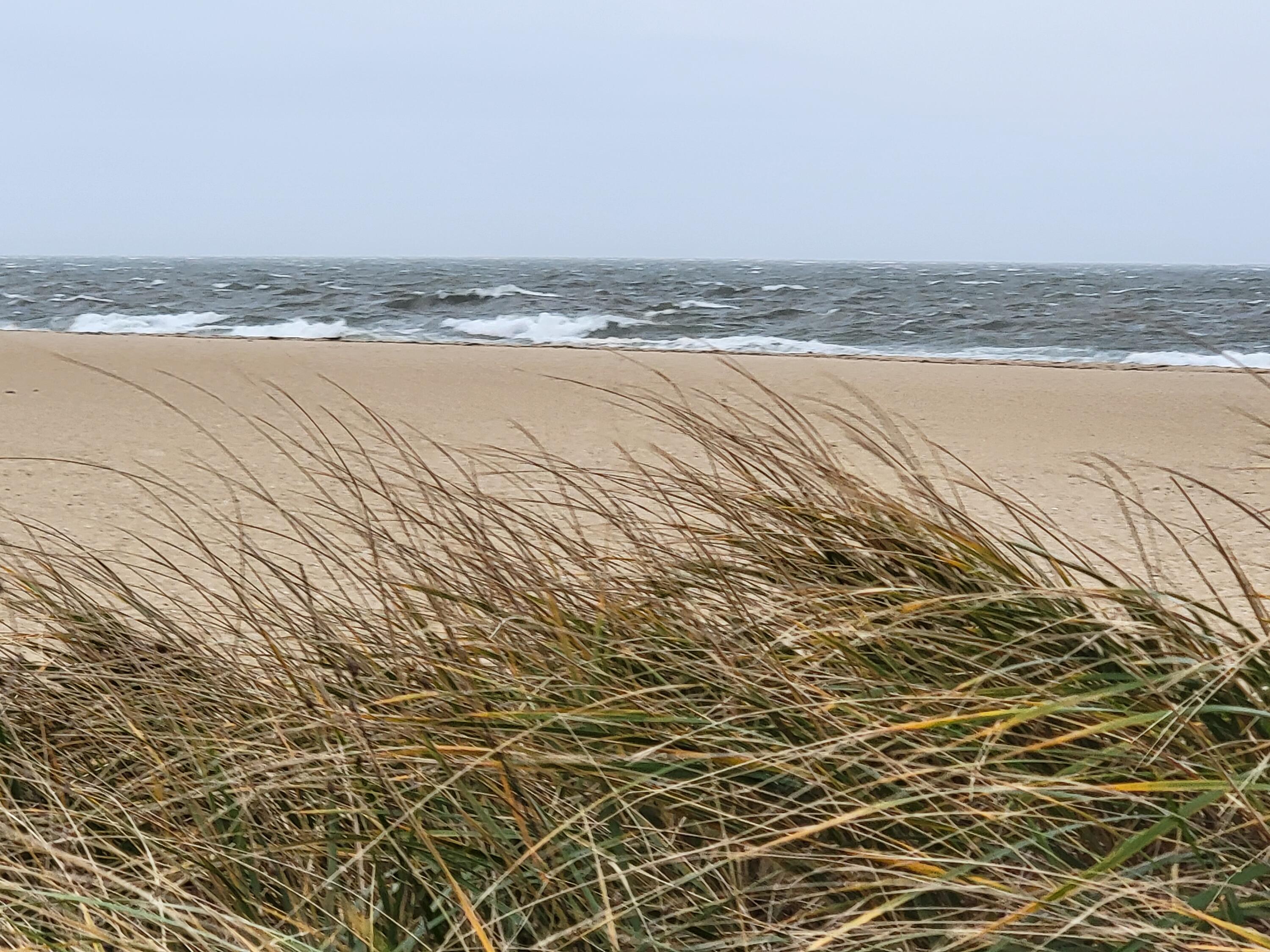 68 Beldan Lane Centerville, MA 02632 - Photo 27 of 32 20211112_135729