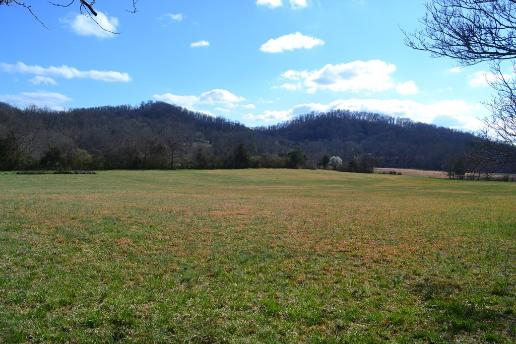 0 Tipton Station Road Knoxville, TN 37920 - Photo 2 of 12