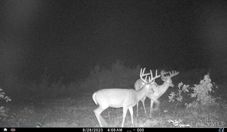 A Enley Road McDermott, OH 45652 - Photo 65 of 97