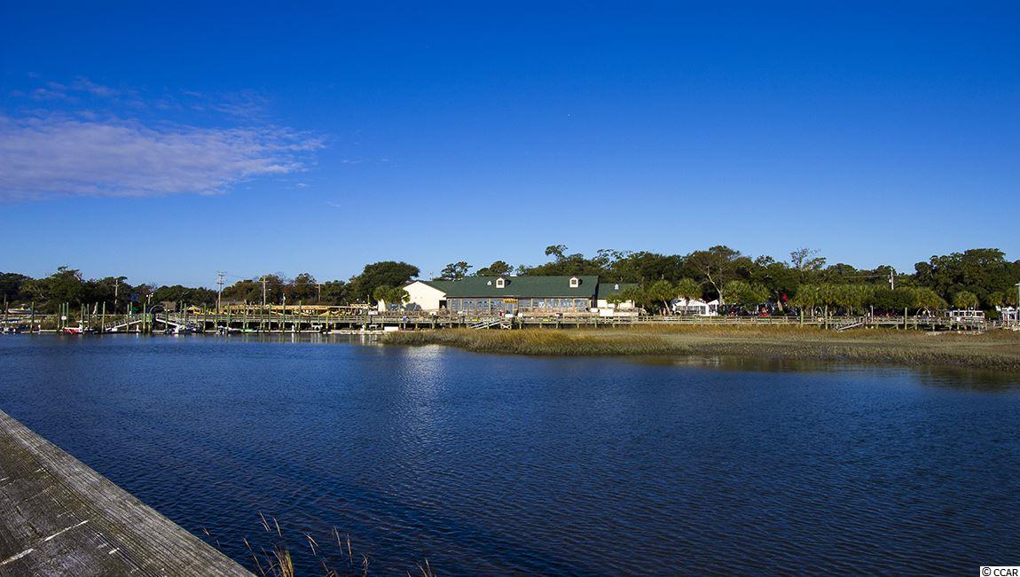 230 Star Lake Drive Murrells Inlet, SC 29576 - Photo 25 of 40 Gallery Image 25