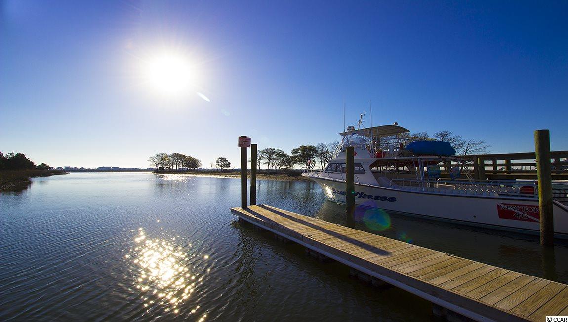 230 Star Lake Drive Murrells Inlet, SC 29576 - Photo 27 of 40 Gallery Image 27